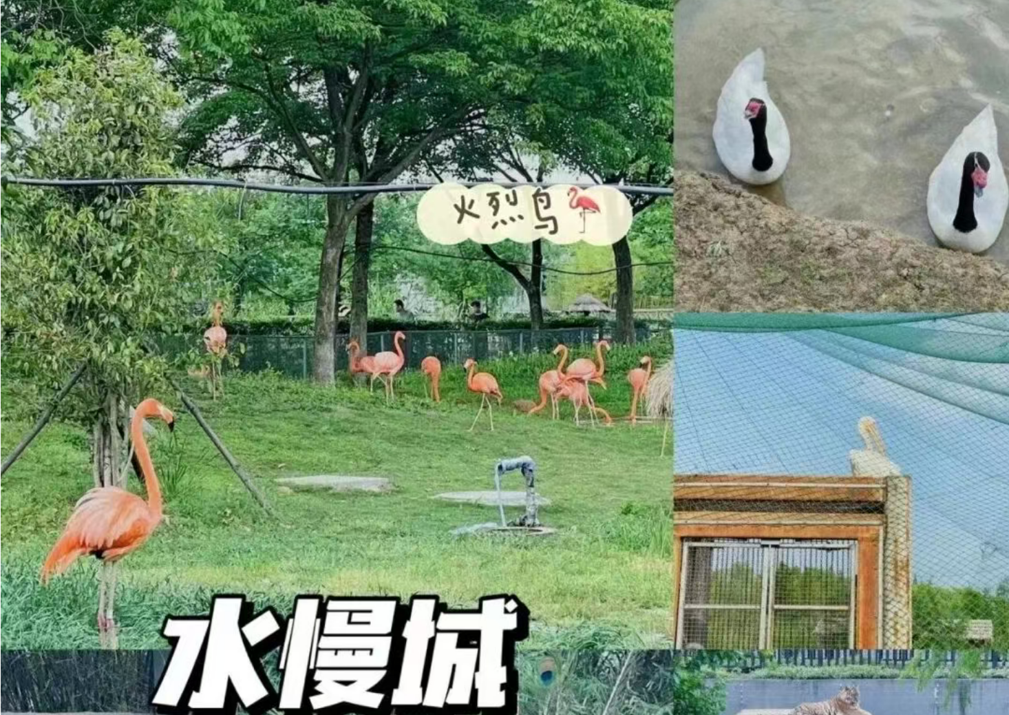 c0df8809b1783bd1bc15b9d80a1c5248 c0df8809b1783bd1bc15b9d80a1c5248