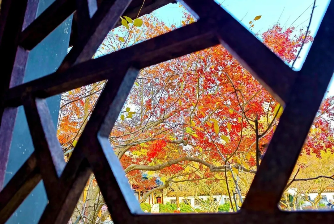 c10fb017ac07c018d683b5dab5dac97d-sz_389119