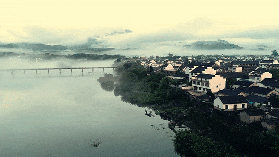 c116f8d5616e9226cbc5eecd182c740b-sz_1618430-1