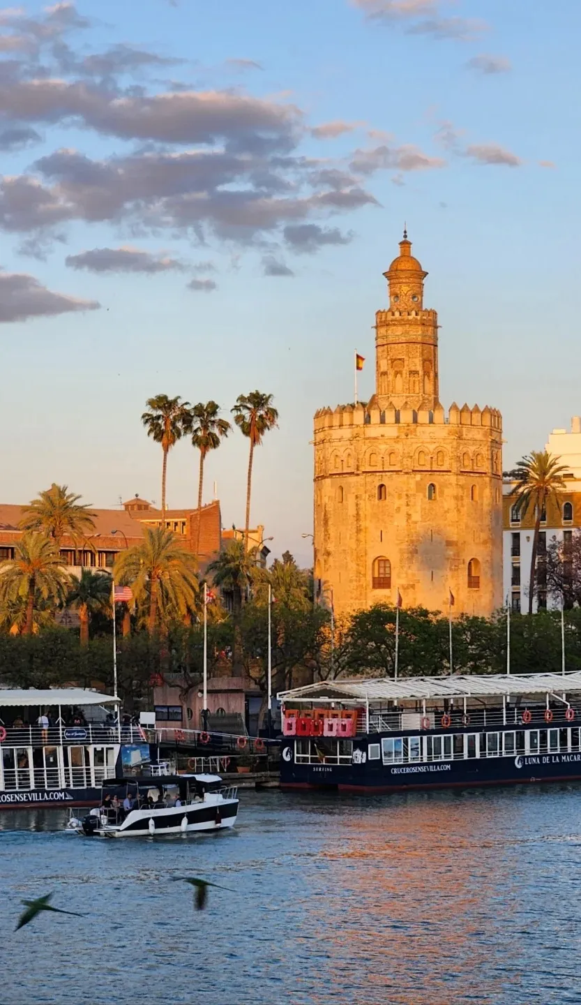 c124050b3f37a3655051cc39fba823e1-sz_392456