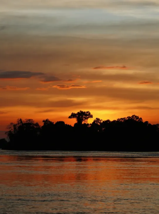 c1511601217d5b9f8775cef5aad06a50-sz_414596