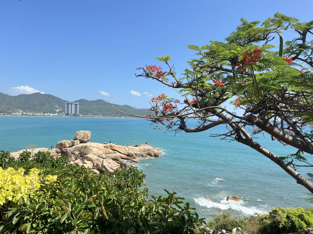 c1630a8b53a782ca734c16a8a84ce69e-sz_4499200 c1630a8b53a782ca734c16a8a84ce69e-sz_4499200