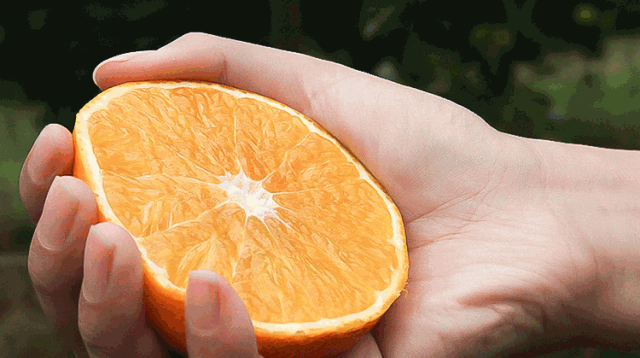 🍊象山畅吃“柑橘中的爱马仕-红美人”398元三日游🏖️每人送5斤橘子带回家👍🏻 2早4正（每餐14菜1汤海鲜小拼盘 ）棋牌卡拉OK免费