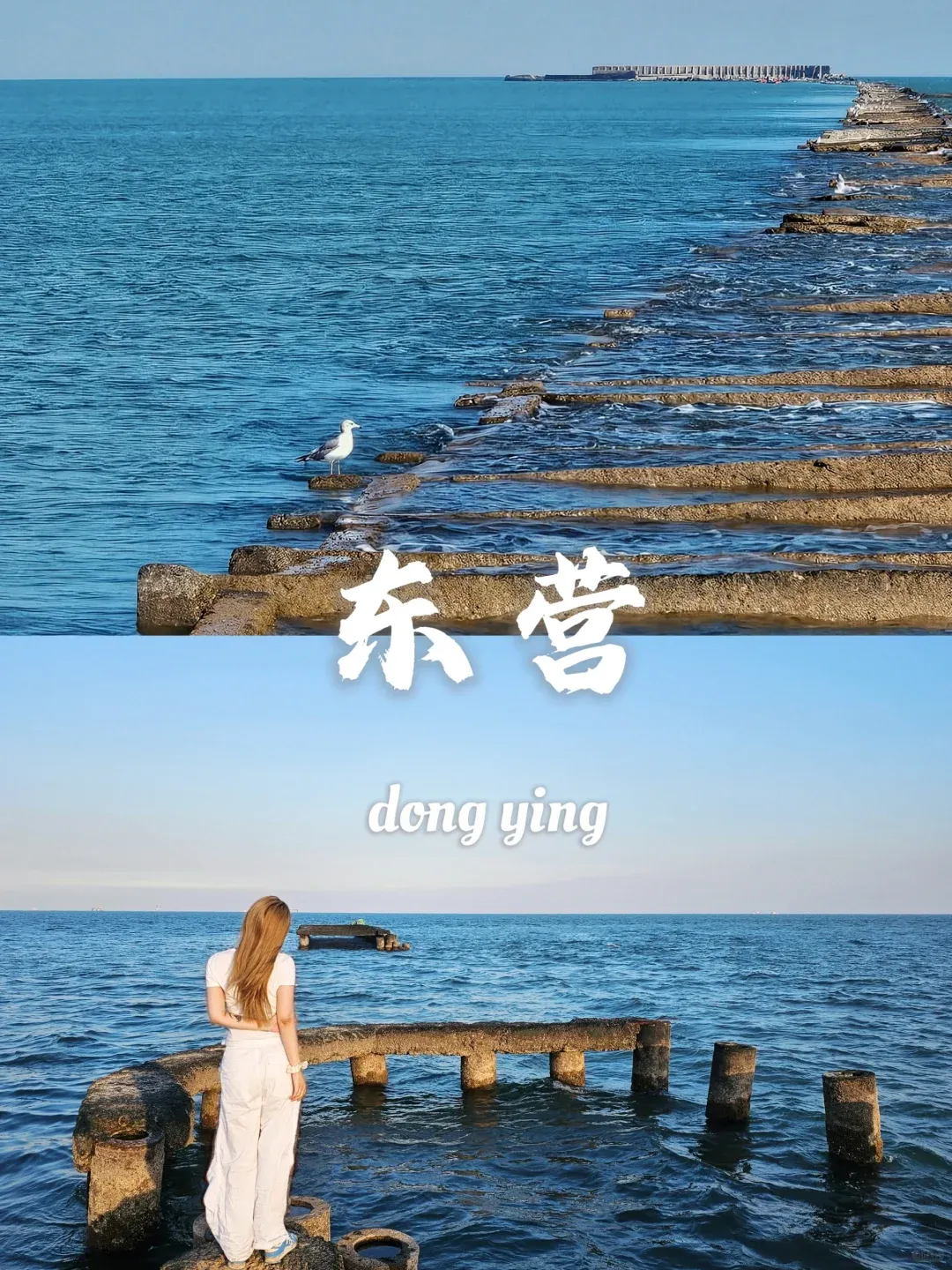 c1a65120432bb4d4203abc413c5a2563-sz_2800857-2