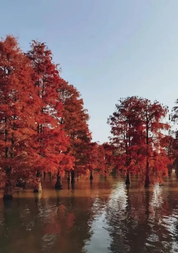 c1ba83ad47799c0b55cc4588d8edcdb0-sz_175695