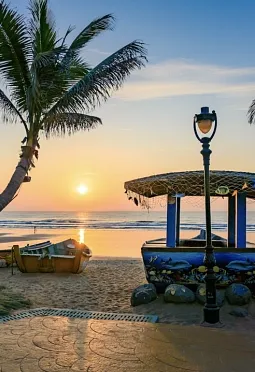 c1c4e08040d53df5d2d14774ca515d23-sz_362020-1