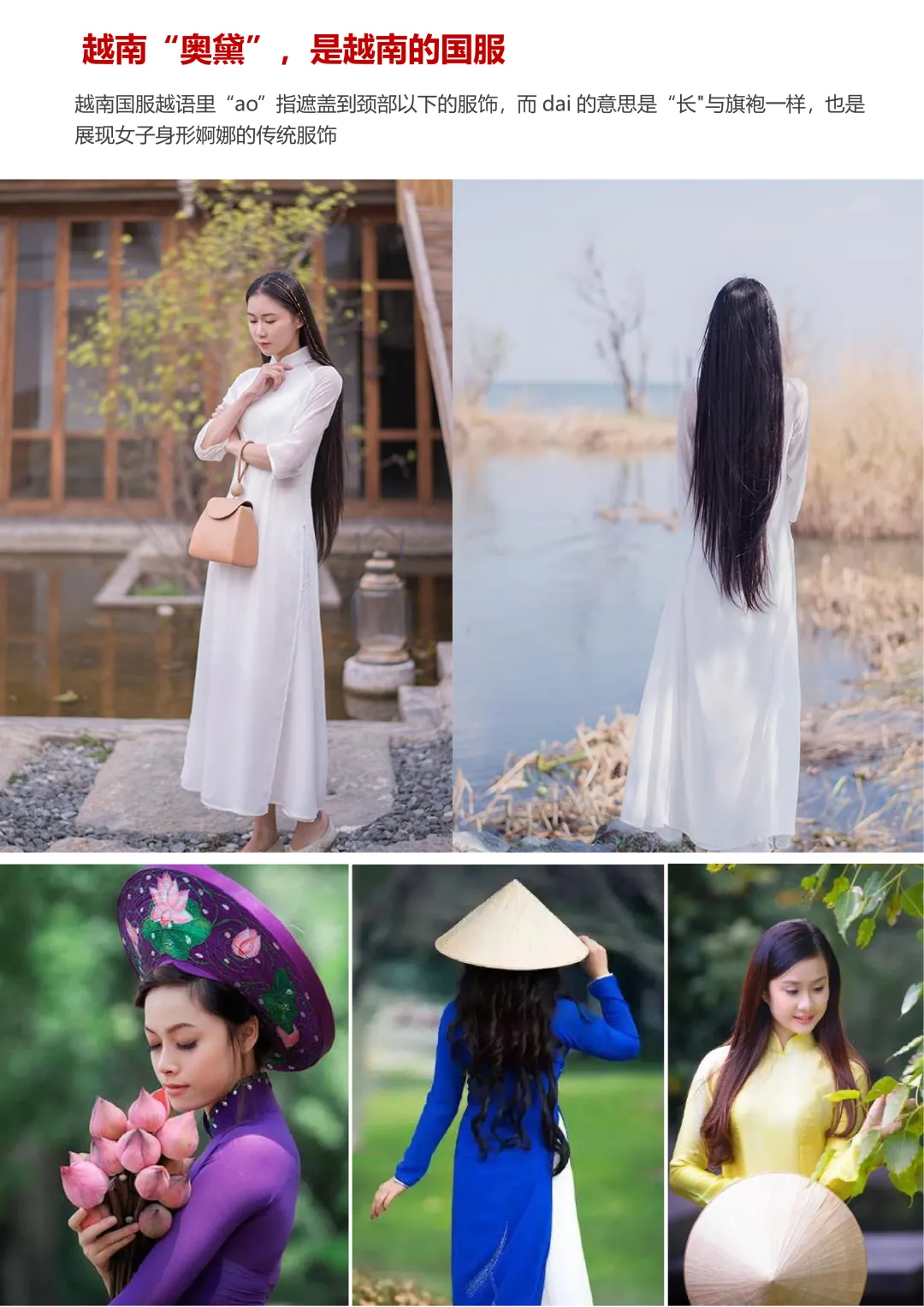 c1e430f0bd9d84a781f9958d75b26543-sz_2041968-1