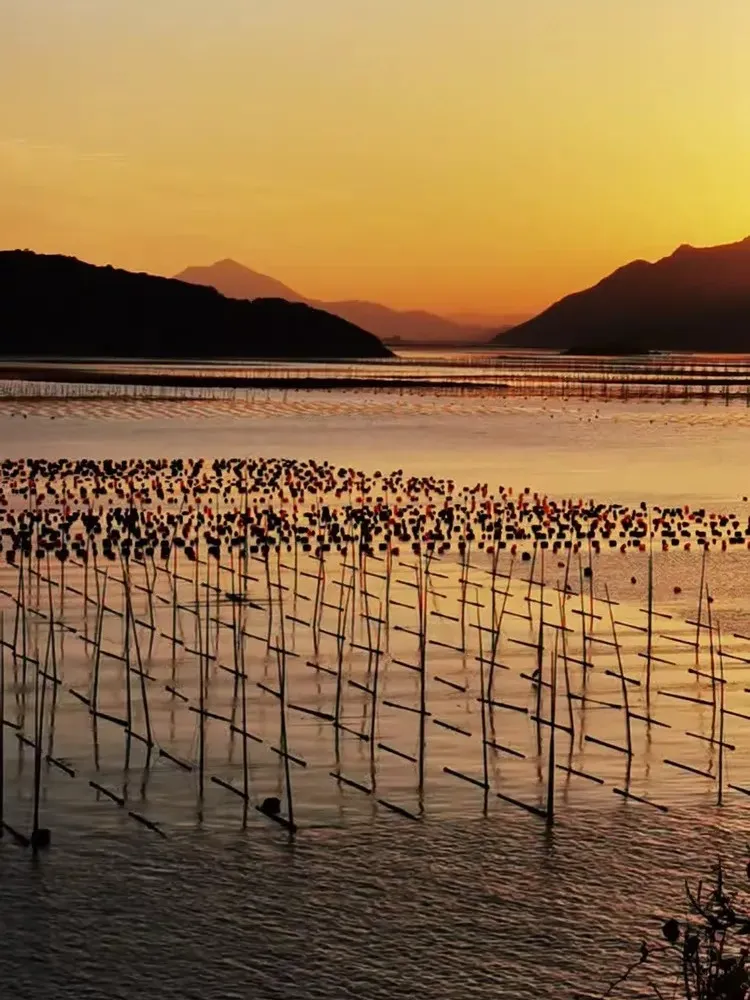 c21f7f737203eef5a889d0fb47ea2580-sz_204872 c21f7f737203eef5a889d0fb47ea2580-sz_204872