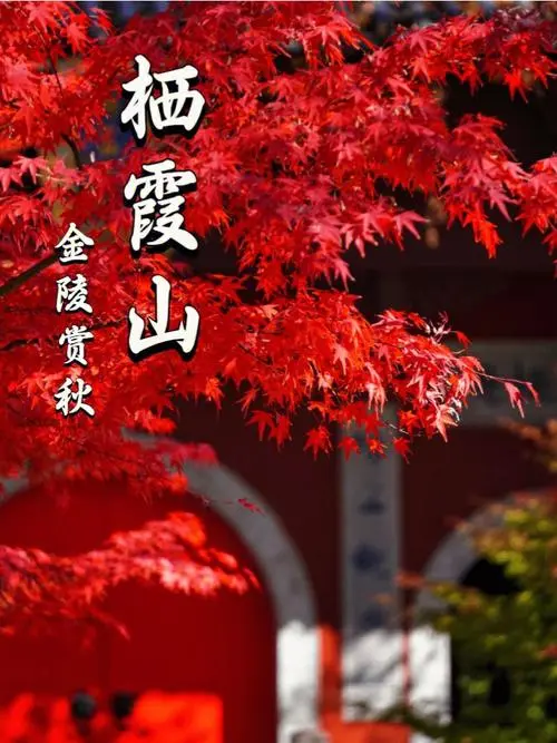 c2235cde4e442a63b9f812b6dcdb122f-sz_63741-2