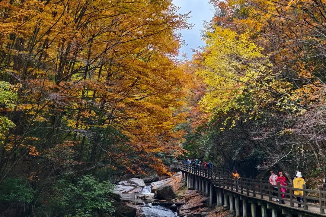 c259a547f3f8d0f9146fb39ff0b91192-sz_4317488