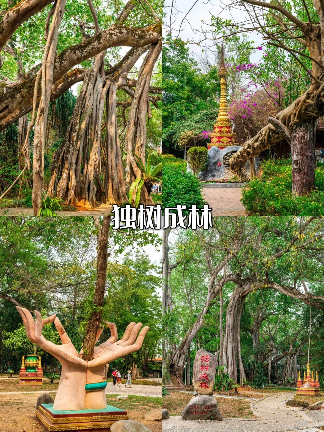 c2733c7bff9a14d91c3cec5d5ba0703e-sz_4394608