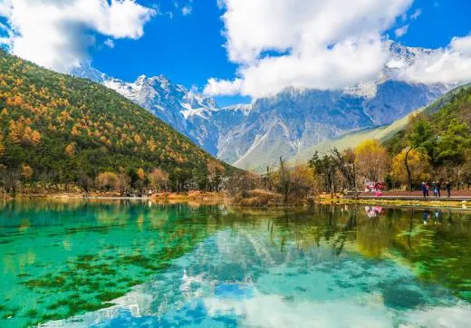 c28f47919d36dbf24aa9c95f039fc0ac-sz_344349