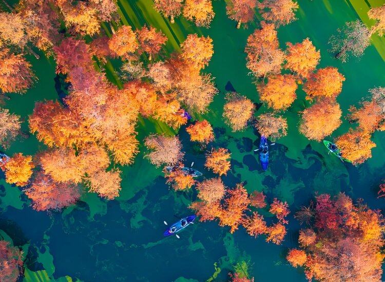 c2IqWEx6b3hTpHHGewBLG8iu6hVWwQXx