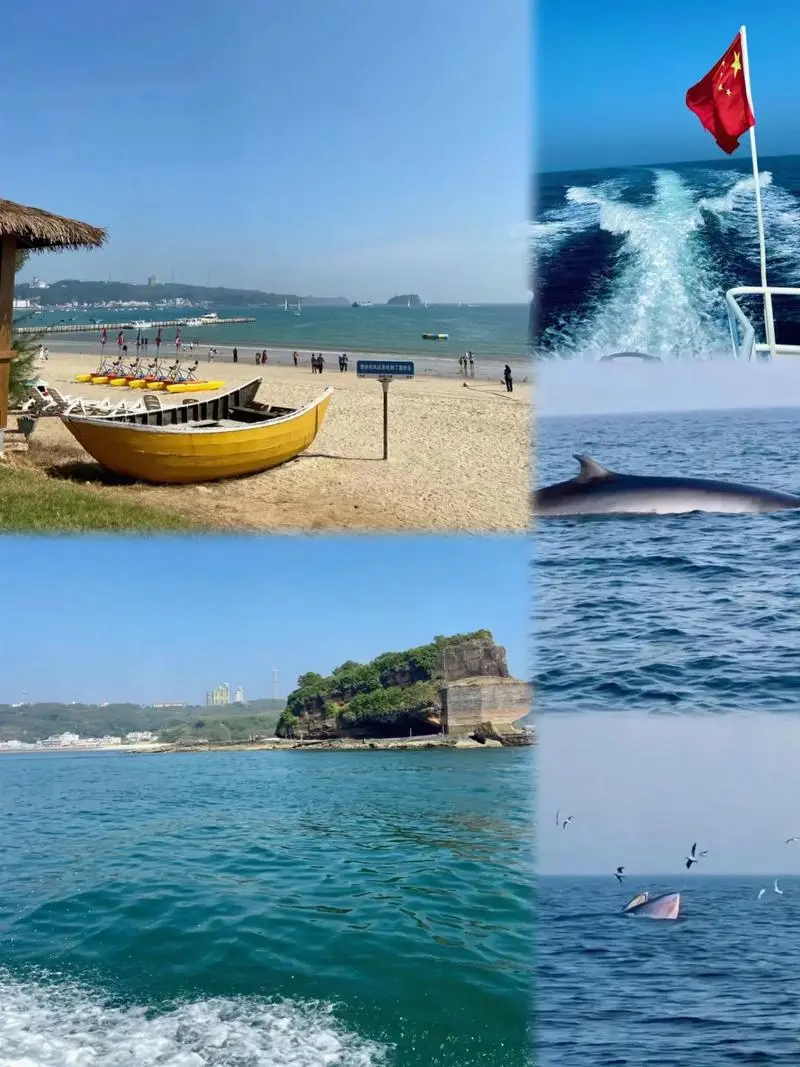 c2aa523d05d4bc8c717643cc2ff4c6f4-sz_118279