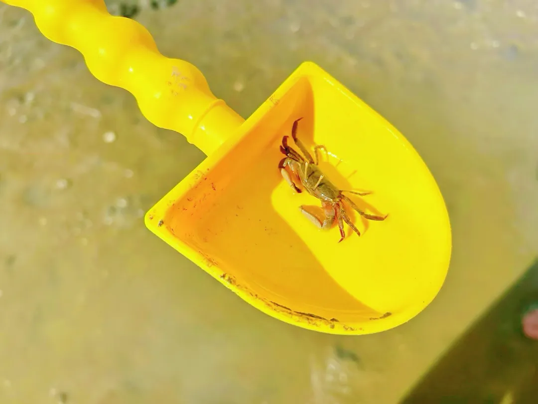 c2b81b10a1a01b0f2a660642e2db262f-sz_1355044 c2b81b10a1a01b0f2a660642e2db262f-sz_1355044