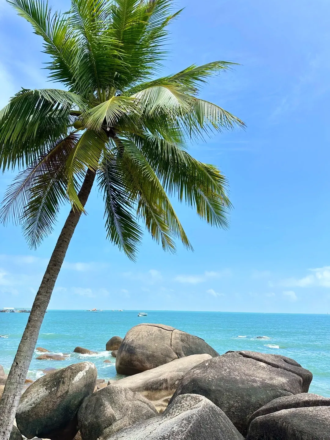 c303f5eea2ae41b1d1370361b3f5032a-sz_549208