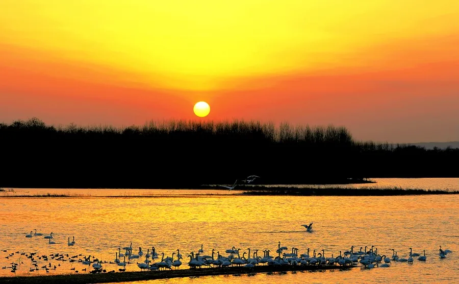 c32b2e1478bd7c8c33da0eaf70eaa701-sz_197058 c32b2e1478bd7c8c33da0eaf70eaa701-sz_197058