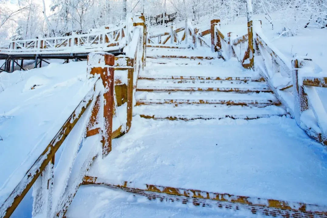 c403eb8276a364a979ebf59bcb337918-sz_426966-2