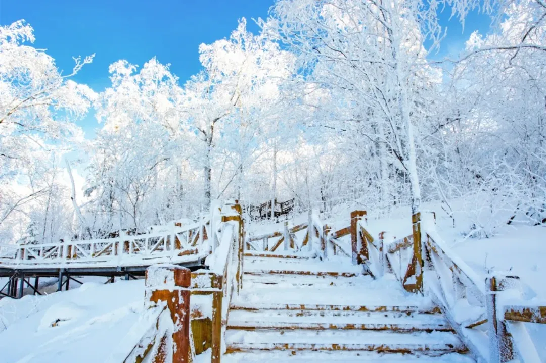 c403eb8276a364a979ebf59bcb337918-sz_426966