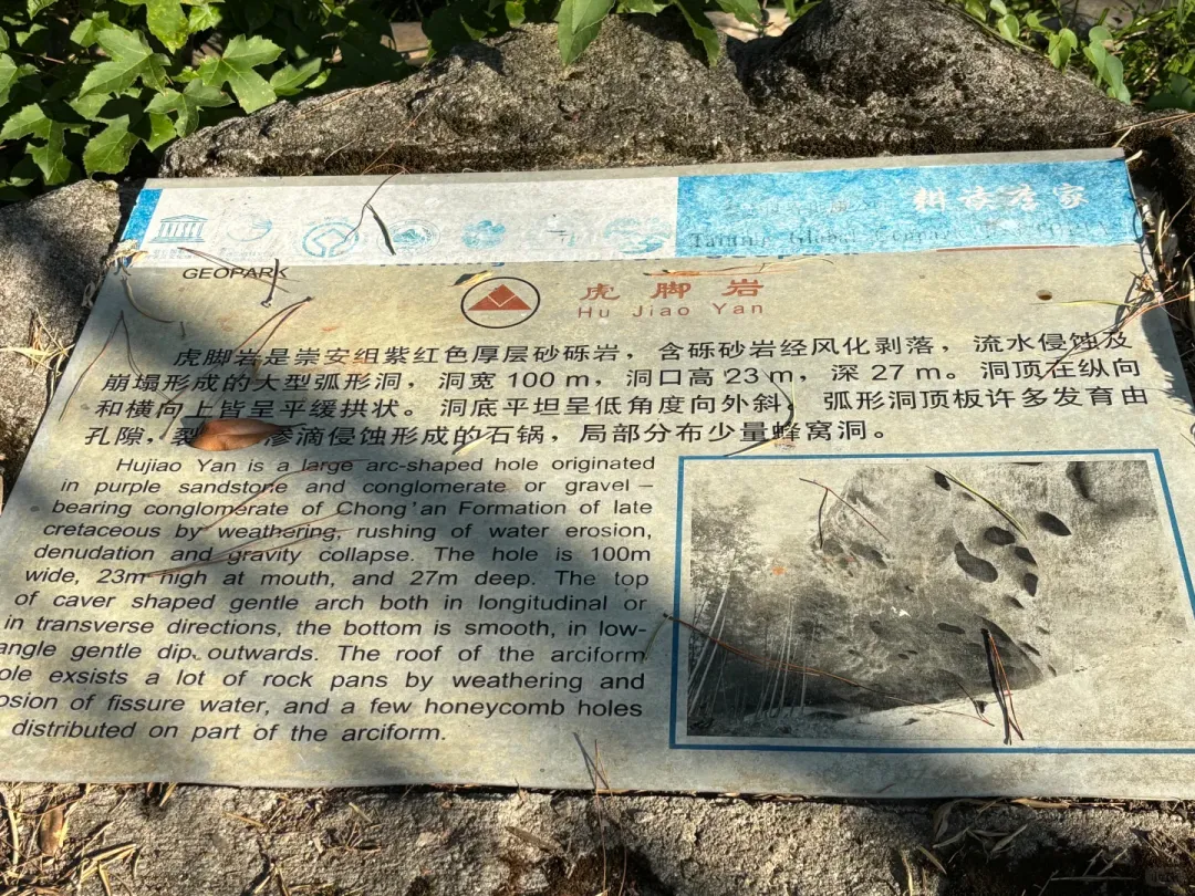 c41e8dd002bf694fe38a1b92f414142a-sz_3518490