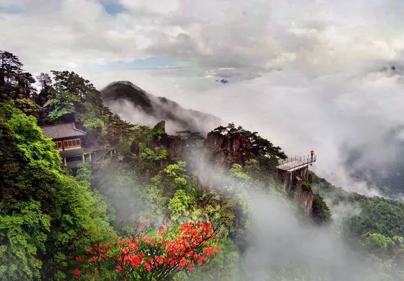 c42f994d1c089d865bd96437b19e3a39-sz_134887