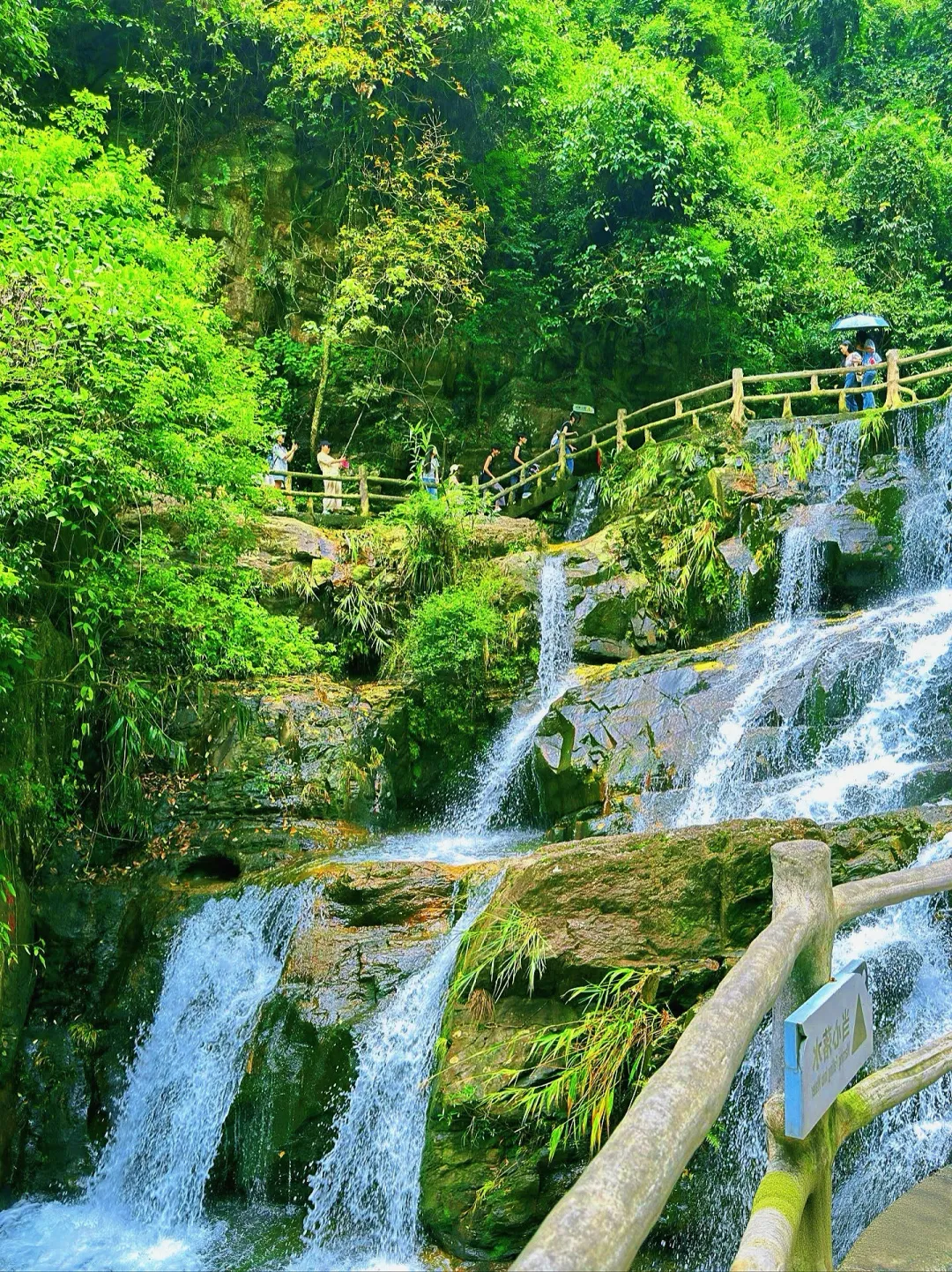 c466f64477e4c1a2547e364553fee35a-sz_5693705-10 c466f64477e4c1a2547e364553fee35a-sz_5693705-10