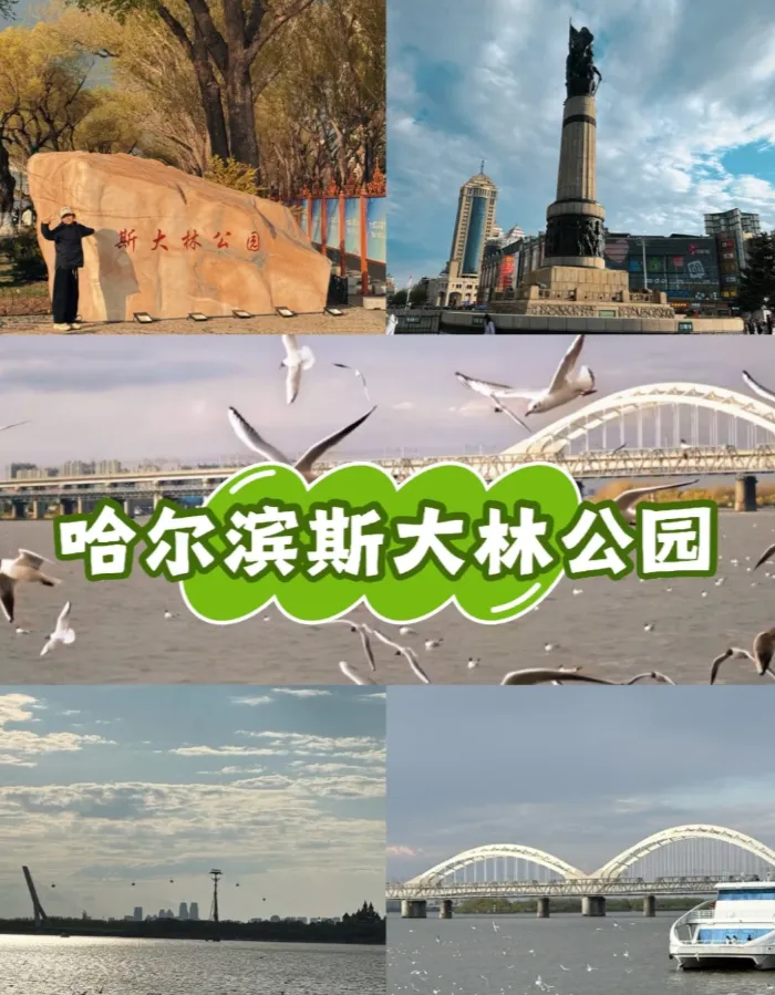 c479ac0a203bc1f6cd70c97a57209b14-sz_1026302-1