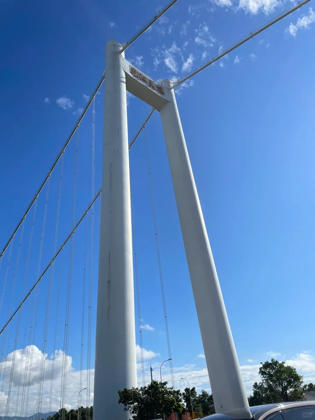 c48c68b96994b29365bb3d2f6747e0a8-sz_1314174