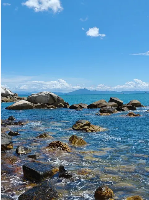 c593c8bb0f93d2c71cbb9f8a7ef71092-sz_441782 c593c8bb0f93d2c71cbb9f8a7ef71092-sz_441782