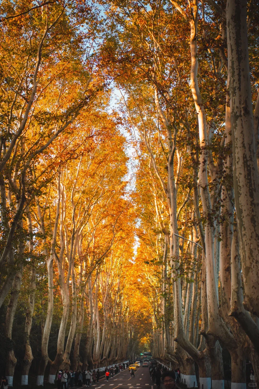 c599d21517d85e8f5b895648e7b3c39c-sz_3538091 c599d21517d85e8f5b895648e7b3c39c-sz_3538091