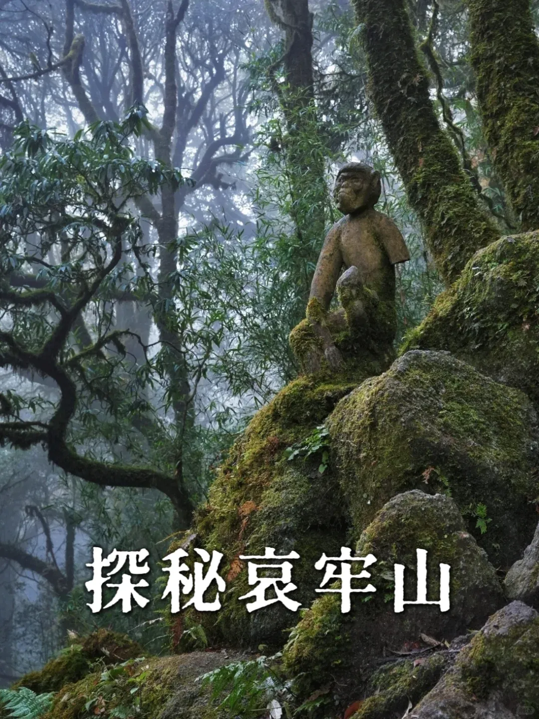 c5c60a1929ad18d5039e4bd596a3d04c-sz_2623873 c5c60a1929ad18d5039e4bd596a3d04c-sz_2623873