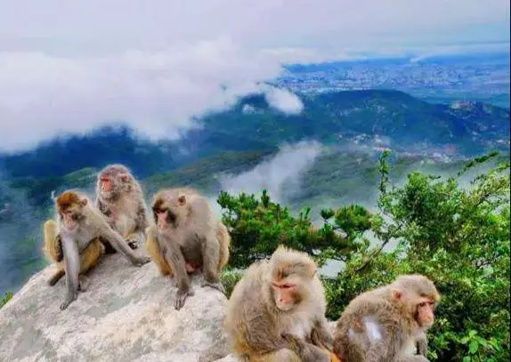 c5c6edd04a586a057bea5d148a1f379c-sz_41547-1 c5c6edd04a586a057bea5d148a1f379c-sz_41547-1