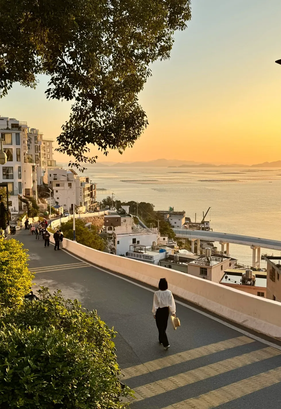 c5e16235a50f4bd45bc41fa5dbf25309-sz_2354267