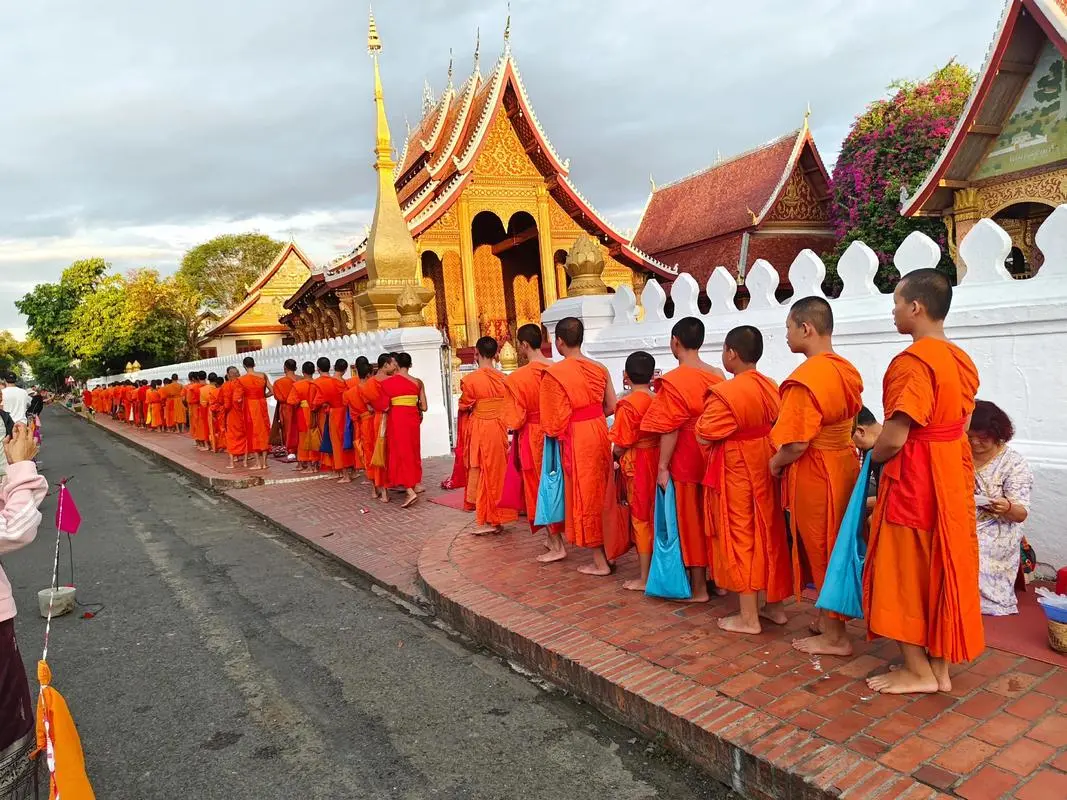 c61d6125019d429dc3fb8b75f4a42d24-sz_175387