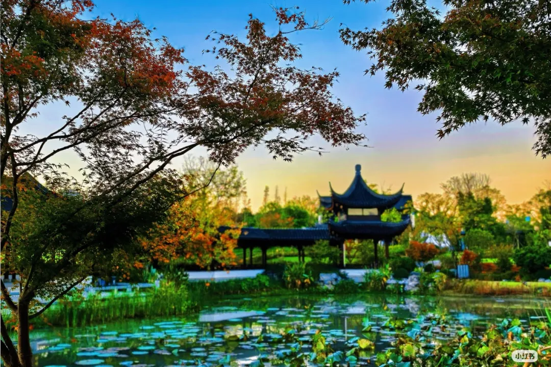 c627f23354c3057f2e00a22fb817ba6b-sz_1343098