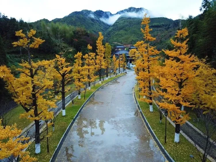 c63cc92e89e9c0483cbcb01238e64712-sz_156232 c63cc92e89e9c0483cbcb01238e64712-sz_156232