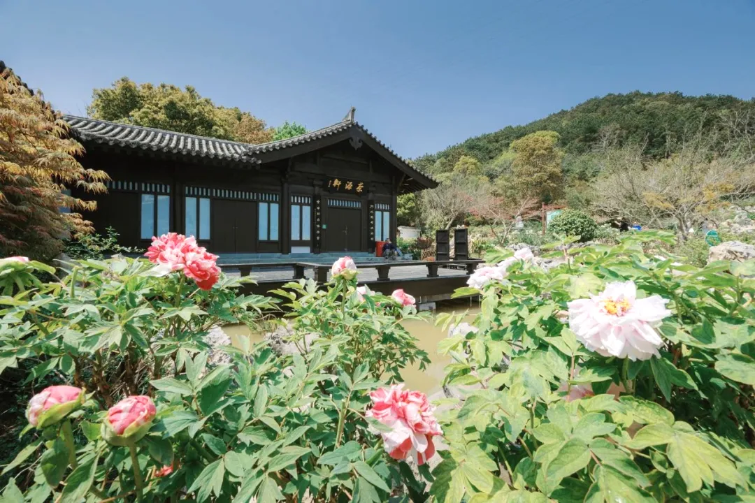 c63fd7010ce3df0a8ee27345e2780a90-sz_251146