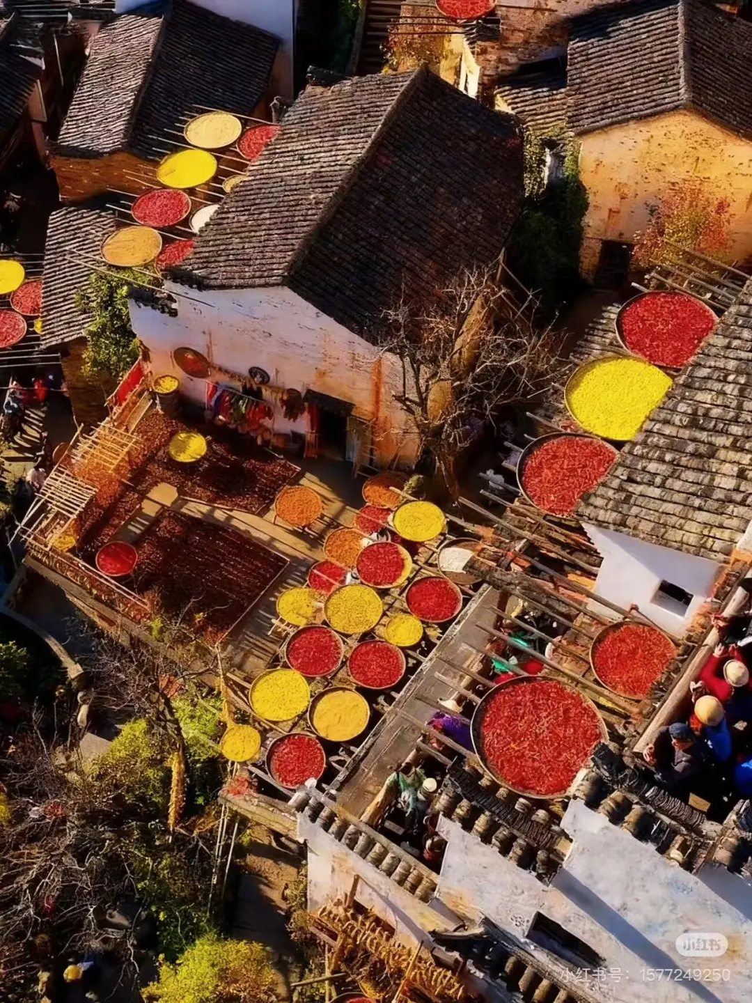 c6bfa5b0a8b31e8da4fd5c9bffeba5f6-sz_526800