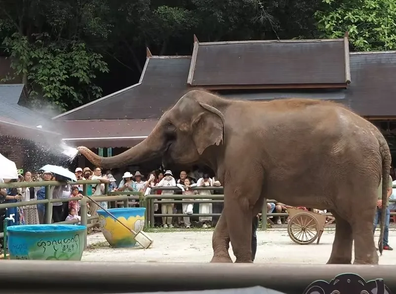 c6c44af0e3bff6a677290eb9a836f50f-sz_330591