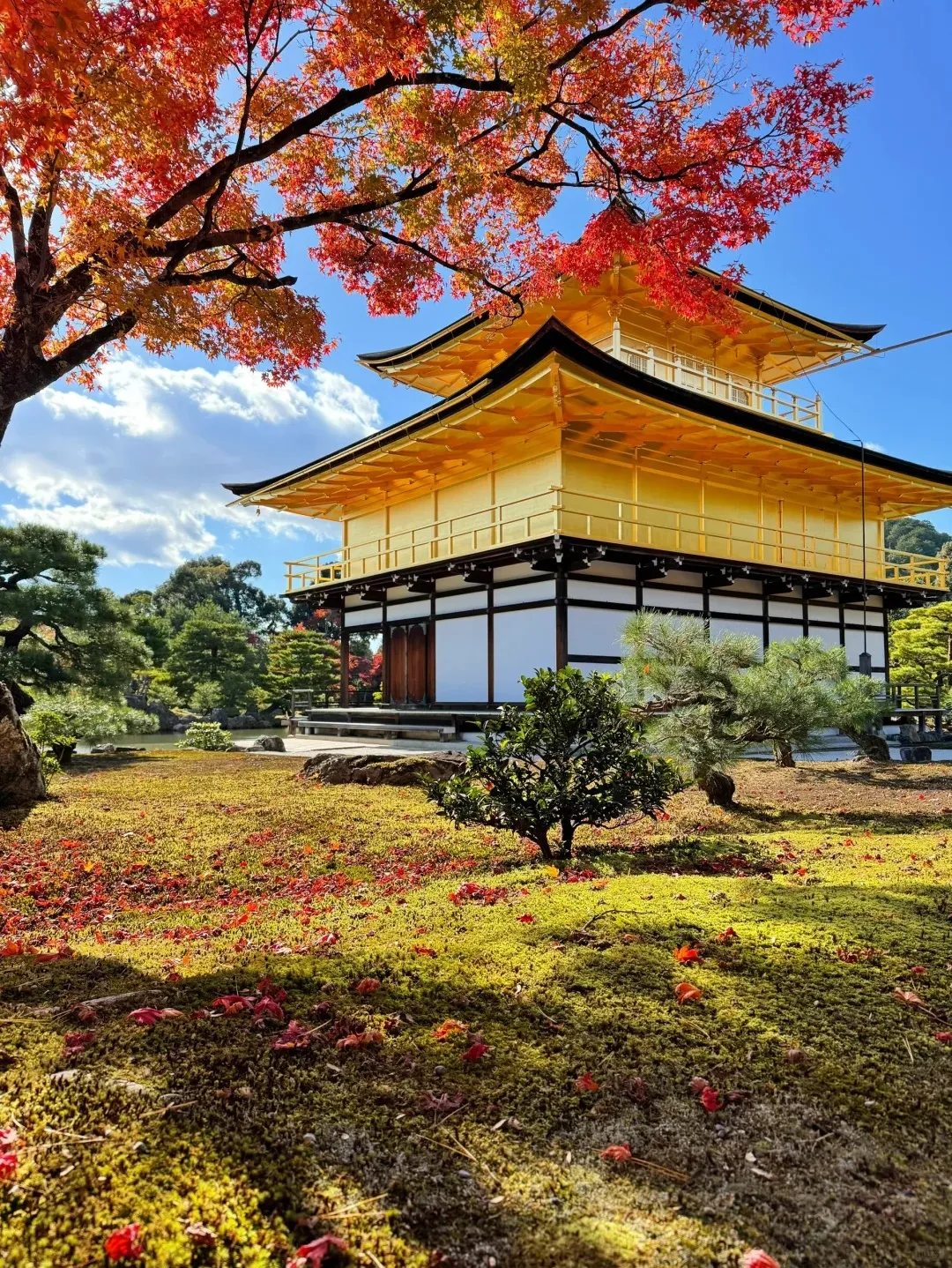 c72c2f7725e8342544a142674825bc64-sz_805597 c72c2f7725e8342544a142674825bc64-sz_805597