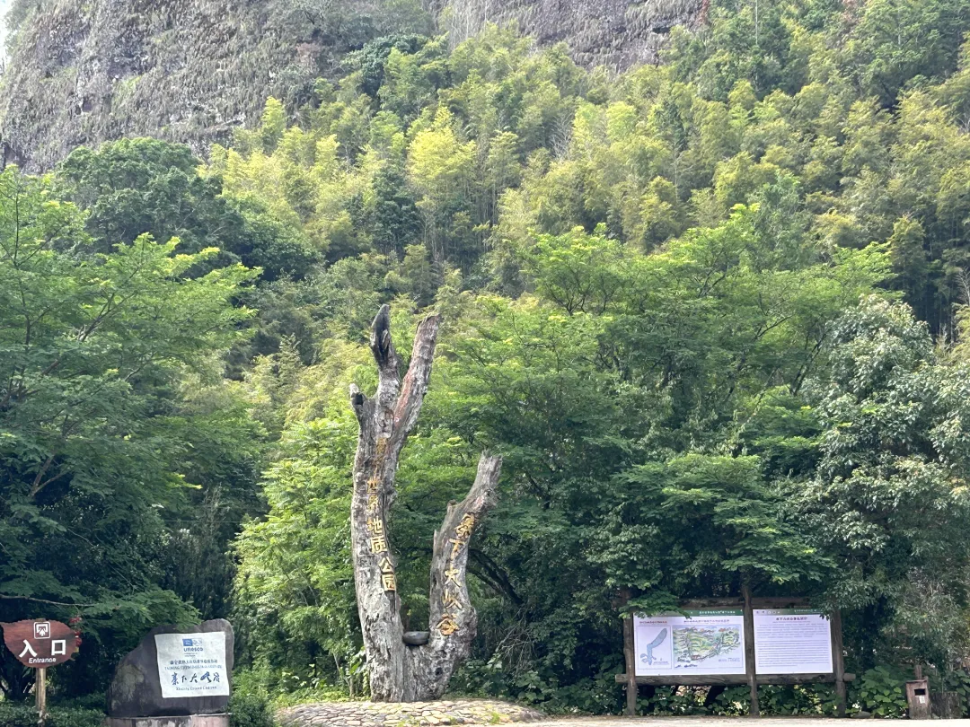 c731a313f76af5f3be490447a520a014-sz_4622492