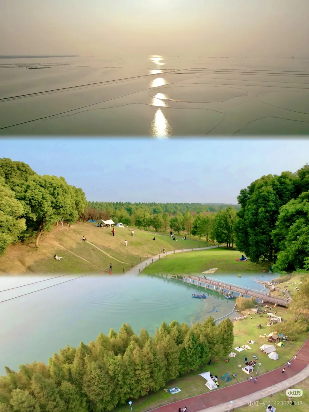 c7410c0db2a2b8fc77c2ff0fe395b1ff-sz_1183509 c7410c0db2a2b8fc77c2ff0fe395b1ff-sz_1183509