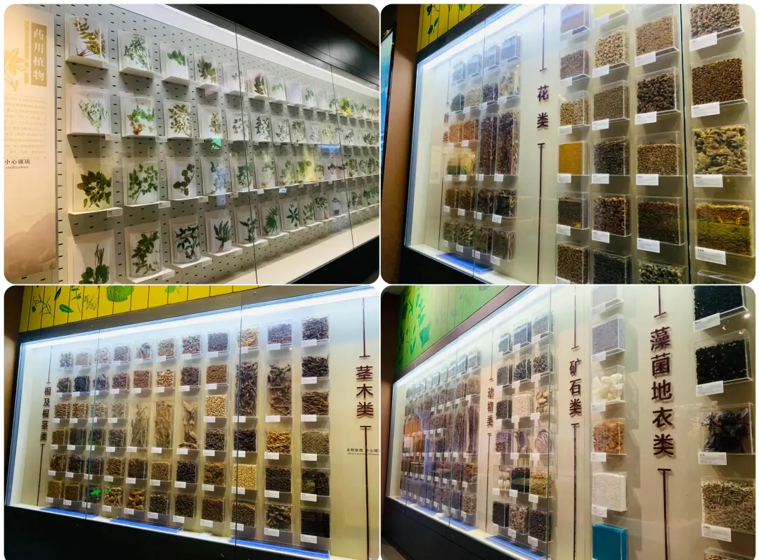 c74e7110bbd4290b1243d0126c031bfe-sz_670870