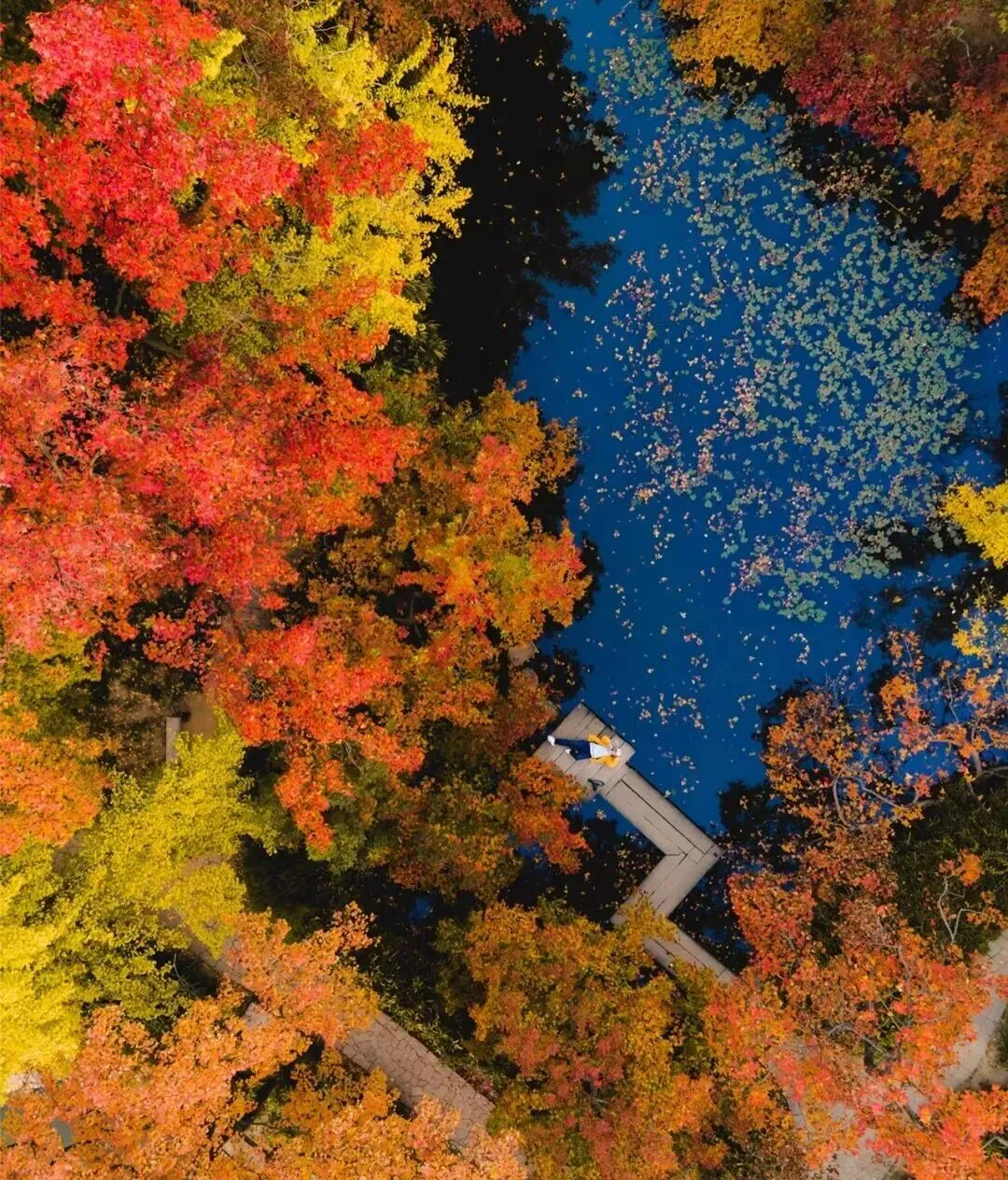 c75e94e8204cdabb00aa607f2ebd79a4-sz_384950 c75e94e8204cdabb00aa607f2ebd79a4-sz_384950