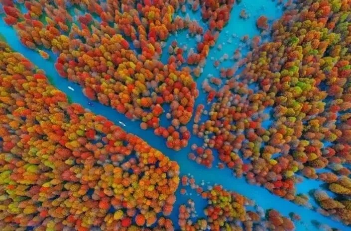 c780fe9c93dd80a4562b83417add5fc8-sz_85099 c780fe9c93dd80a4562b83417add5fc8-sz_85099