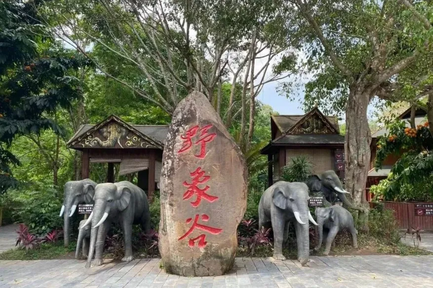 c78341797ee71b7117861568ca39feab-sz_241634 c78341797ee71b7117861568ca39feab-sz_241634