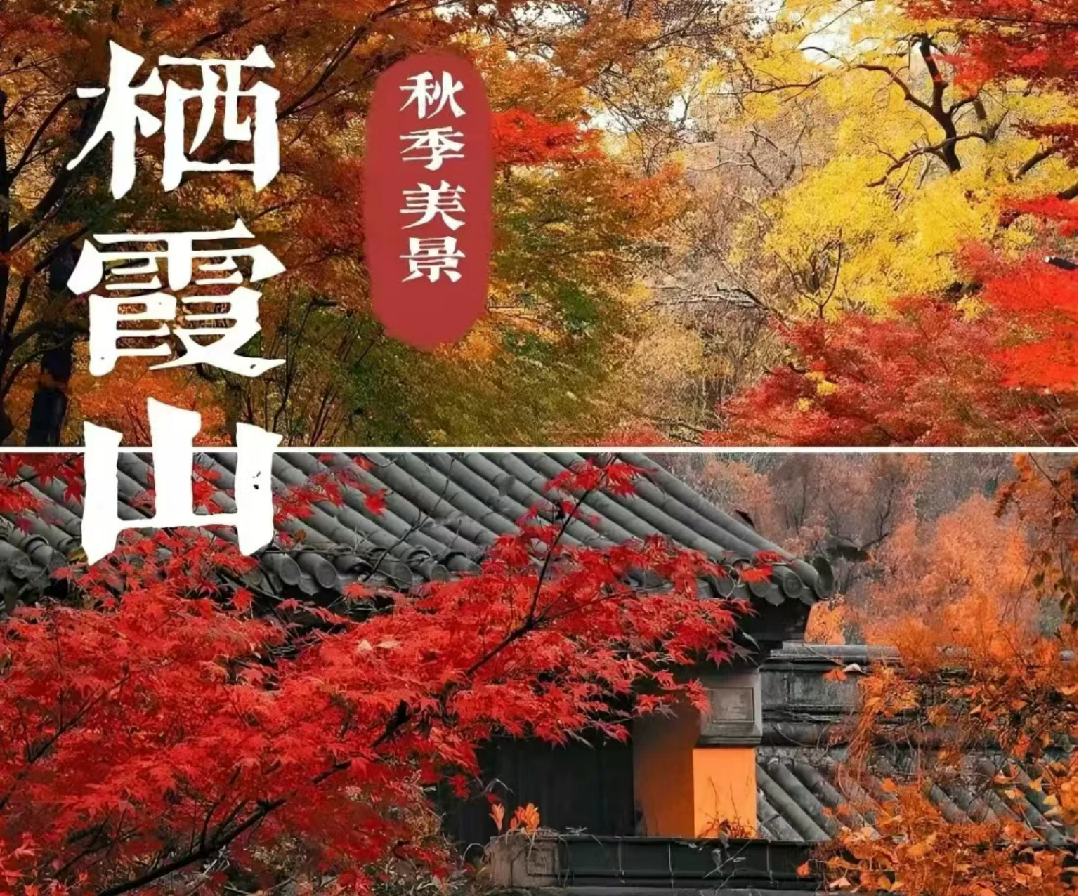 c796e22b30139848130d00254bd8ebc3 c796e22b30139848130d00254bd8ebc3