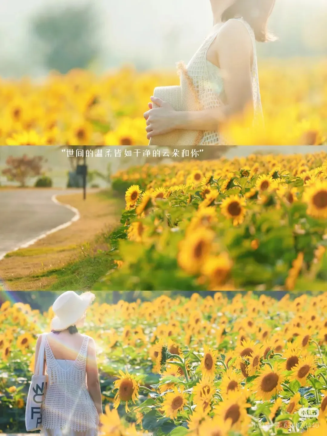 c7a4549712c8e8999c63ec4791558c24-sz_405488