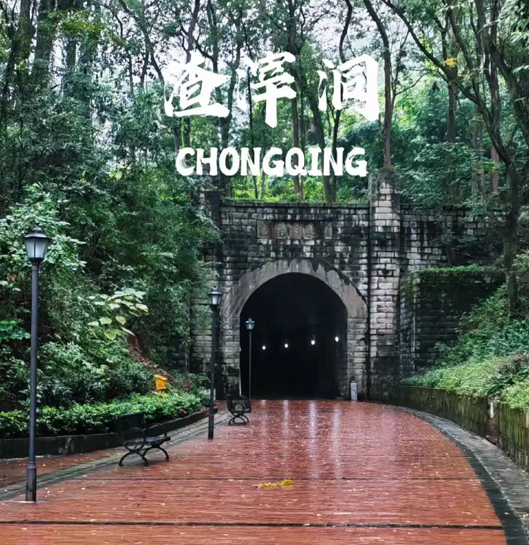 c7dd995a7c3c6ca6a6220e87b1dda4df-sz_481113