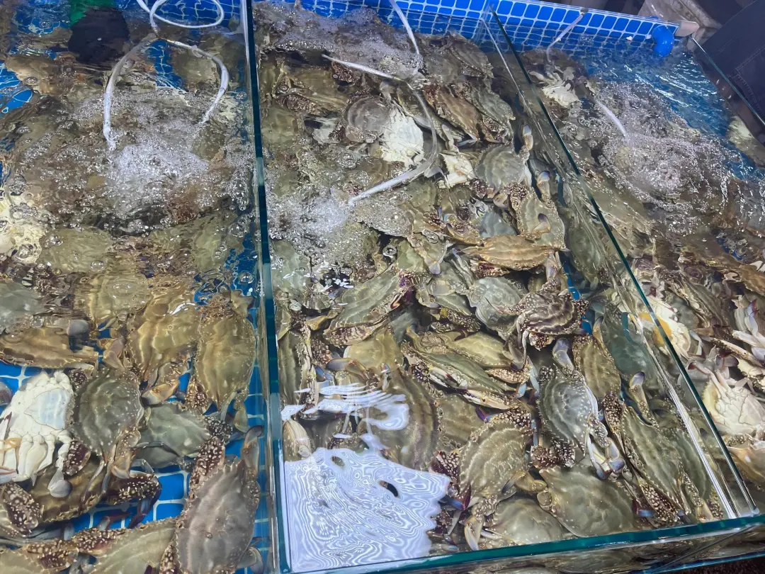 c828bbc29c2210c90a6765bc94a30ad5-sz_1034560